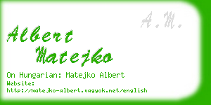albert matejko business card